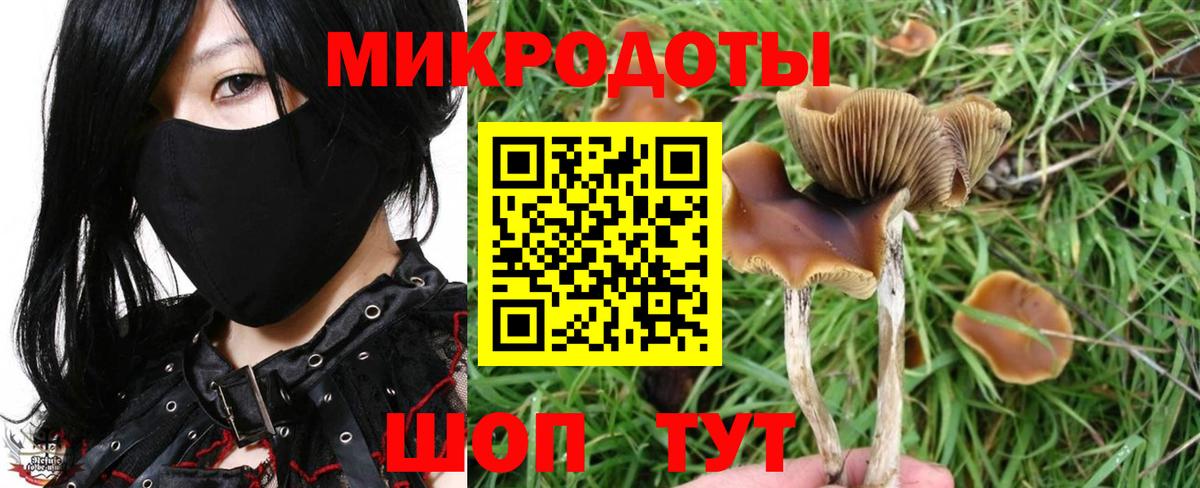 Псилоцибиновые грибы мухоморы Зеленогорск